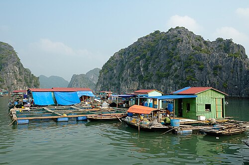 Ha Long Bay