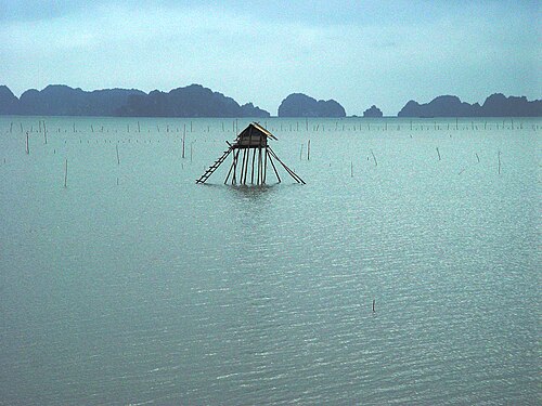 Ha Long Bay