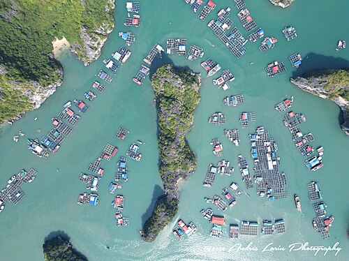 Ha Long Bay